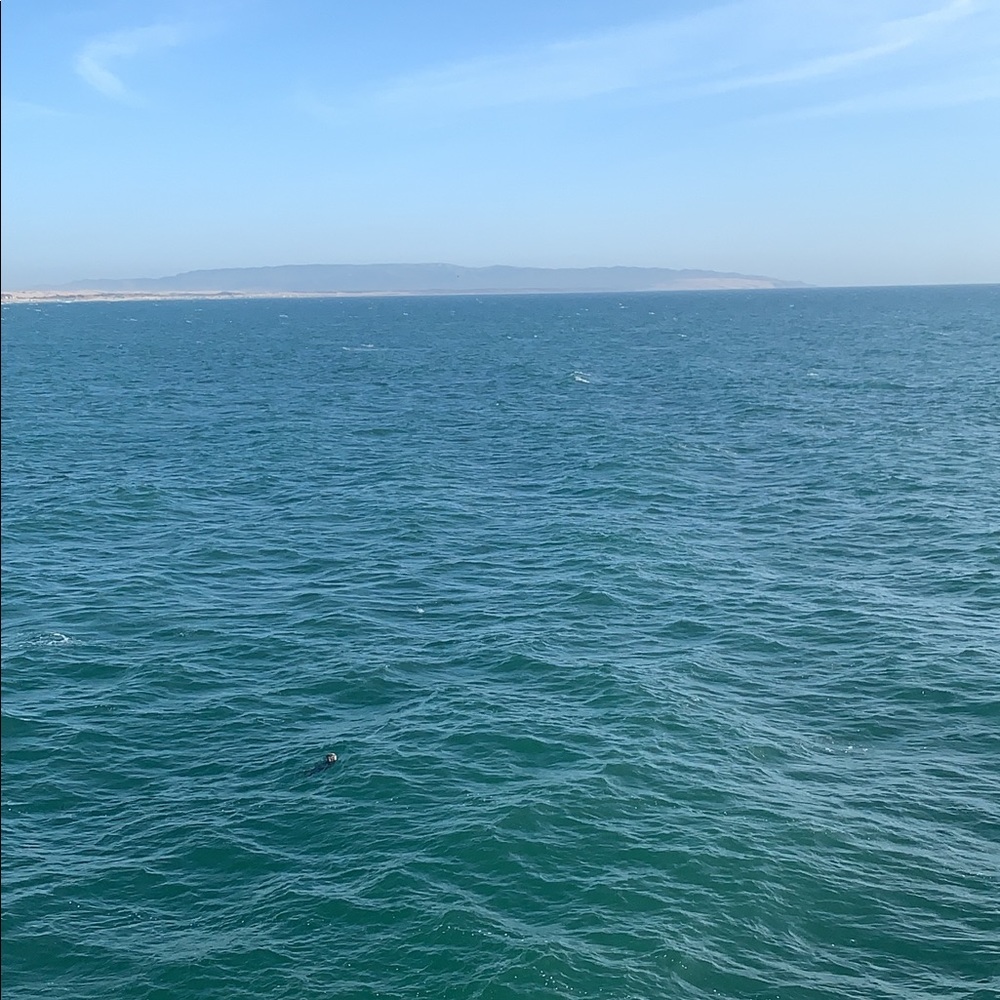 Meet your Posher, Leilah